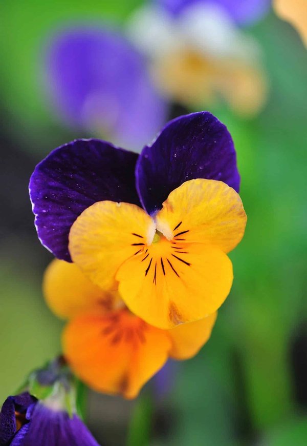 Quelles approches pour le développement de la pensée critique chez les managers de première ligne?